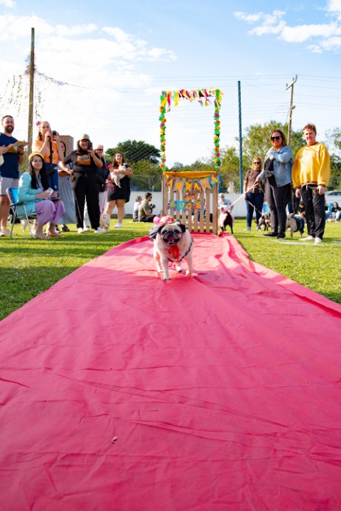 Foto do Pugnic 2026